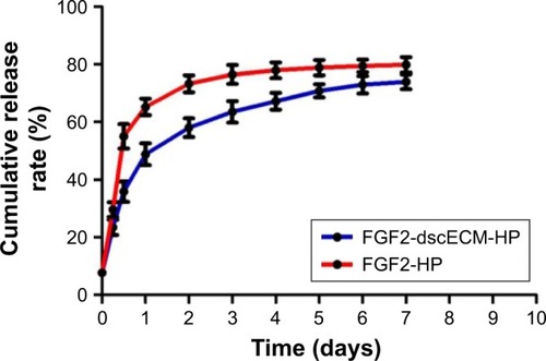 Figure 2 In vitro cumulative release of FGF2 from FGF2-dscECM-HP hydrogel and FGF2-HP hydrogel (data presented as mean ± SD, n=3).Abbreviations: FGF2, fibroblast growth factor-2; dscECM, decellular spinal cord extracellular matrix; HP, heparin-poloxamer.