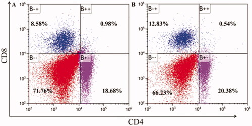 Figure 8. Graph of frequency of CD4 + and CD8 + T cells. (A) OVA (B)SP-γ-CD-MOF/OVA.