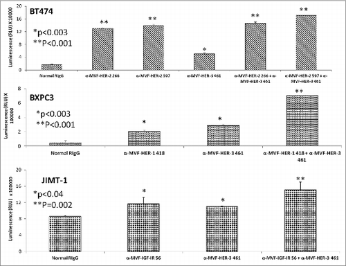 Figure 12. HER-3 vaccine antibodies used in combination with HER-1, HER-2 or IGF-1R vaccine antibodies induces a greater level of apoptosis. Various cancer cell lines (BT474, BXPC3 and JIMT-2) were treated for 1 h with antibodies/combinations of antibodies prior to ligand binding. After 24 h of incubation in the presence of the inhibitors, apoptosis was measured using the Caspase glo 3/7 kit from Promega. Plates were read on a luminometer and normal rabbit IgG (Pierce) was used as a negative control. Results are representative of two independent experiments with triplicate samples (n = 3). Error bars represent SD of the average. Combination treatment HER-3 caused greater induction of apoptosis as indicated by significant release in caspase enzymes (**p < 0.002) while single treatment with the HER-1, HER-2, HER-3 or IGF-IR inhibitors showed a lesser significant value (*p < 0.003 for BT-474 breast and BxPC-3 pancreatic cancer cells and *p < 0.04 for JIMT-1 breast cancer cells).