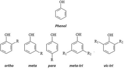 Figure 2. Chemical structure of phenol derivative. The figure was obtained from (Asim et al. Citation2018) with permission from Bentham Science Publishers.