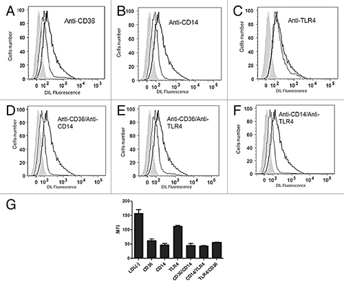 Figure 8. Representative images from flow cytometry analysis of the fluorescence intensity of LDL(-)-DIL taken up by RAW 264.7 macrophages blocked with the following antibodies: (A) anti-CD36, (B) anti-CD14, (C) anti-TLR4, (D) anti-CD36/CD14, (E) anti-CD36/TLR4, (F) anti-CD14/TLR4. (G) Graph showing the decrease of LDL(-)-DIL uptake with blocking antibodies specific to CD36, CD14, and TLR4 receptors. Data ​​are represented as mean of MFI values.