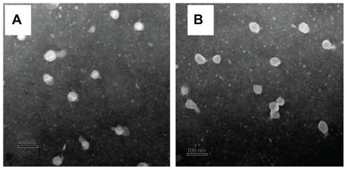 Figure 5 TEM images of the blank SLNs (A) and FMO-SLNs (B).Abbreviations: FMO-SLNs, frankincense and myrrh oil–solid lipid nanoparticles; TEM, transmission electron microscopy.