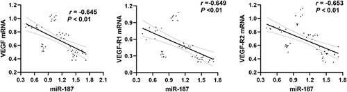 Figure 5 Spearman correlation analysis showed that miR-187 has a negative correlationship with VEGF, VEGF-R1, VEGF-R2, with R values of −0.645, −0.649 and −0.653, respectively (all P < 0.01).