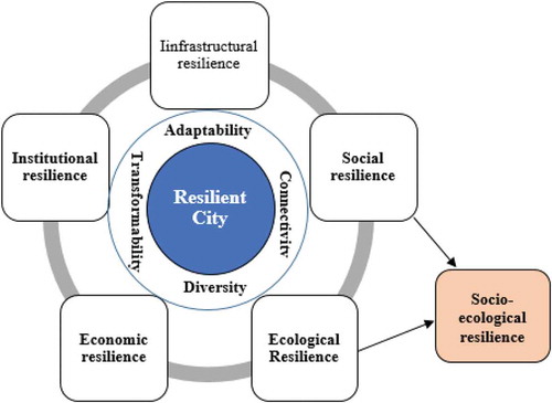 Figure 1. A diagrammatic representation combining the concepts and principles of a resilient city