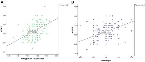 Figure 2 Scatter plot revealing the relationship between birth weight and mid-upper arm circumference (A) and foot length (B).