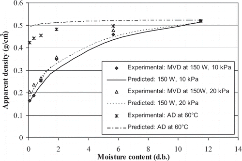 Figure 7 Experimental and predicted values of bulk density as a function of moisture content.