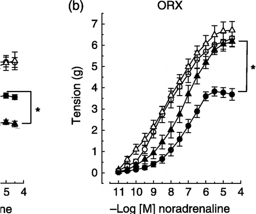 Figure 1 Effects of noradrenaline on two rings, one with and the other without endothelium, of the same thoracic aorta isolated from control and experimental male rats. The experimental protocols were: (a) stress (2 h-immobilization), (b) orchiectomy ORX, (c) (ORX) plus stress, (d) ORX plus testosterone (test), and (e) ORX plus test plus stress. The removal of endothelium increased maximum response to noradrenaline (P < 0.05), except in orchiectomized non-stressed males (panel b). None of the experimental protocols altered the vascular smooth muscle reactivity to noradrenaline vs. respective controls (see denuded aorta responses, P>0.05). Stress decreased and ORX increased the intact aorta maximum response to noradrenaline (panels a and b, respectively). ORX did not prevent the decrease in the intact aorta reactivity to noradrenaline induced by stress (panels c × b). The maximum response to noradrenaline in intact aorta from stress-exposed orchiectomized rats (panel c, filled triangle) was significantly different from non-stressed intact males (panel c, filled circle). Testosterone treatment restored the intact aorta reactivity to noradrenaline in orchiectomized non-stressed males (panels d × b) and also recovered the stress response in aorta from orchiectomized rats (see panels e, c and a). Values are means ± SEM. *P < 0.05 vs. respective controls. Animal number range = 6–12 per group.