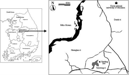 Figure 1.  Map of a breeding site of the six mixed–species of herons at Taeseong, Chungbuk, Korea 2001.