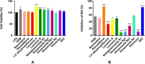 Figure 8 (A) Viability of LPS stimulated RAW264.7 cells after being treated by active compounds of SZC and (B) inhibition of synthesis of nitric oxide by active compounds of SZC at concentrations of 20 µM (resveratrol, pterostilbene, 7,4’-dihydroxyflavone), 50 µM (loureirin A, loureirin B, notoginsenoside R1, ginsenoside Rg1, ginsenoside Rb1, ginsenoside Rd, and peiminine), 50 µg/mL (SZC), and 1 µM (DXM) as positive control. Data were obtained from triplicate independent experiments and are presented as means (± SD). *P < 0.05, **P < 0.01, ***P < 0.001.