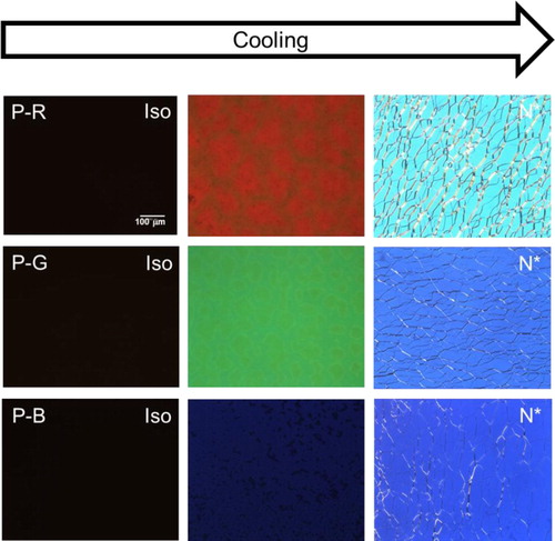 Figure 2. Typical POM images for P-R, P-G, and P-B during the cooling process (1°C/min). POM images for the ISO, unknown, and N* phases were observed at 60°C, 35°C, and 25°C, respectively.