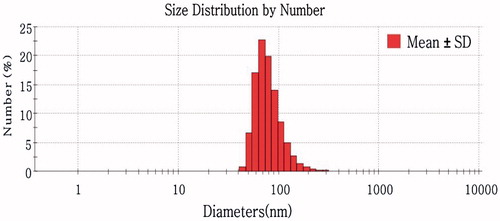 Figure 4. Typical droplet size distribution diagram of Tat-CS-NPs.