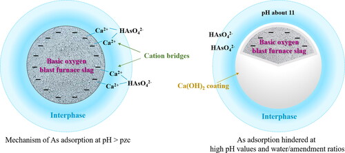 Figure 4. Scheme of the As adsorption processes by basic oxygen blast furnace slag.