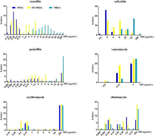 Figure 2 The MICs distribution of three kinds of S. aureus strains against oxacillin, cefoxitin, penicillin, vancomycin, clindamycin, and erythromycin.