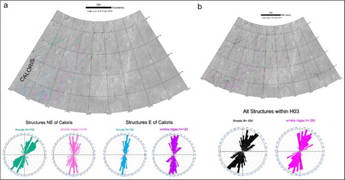 Figure 8. (a) Distribution of the mapped structures surrounding the Caloris basin and relative azimuth-frequency diagrams showing the main trend for thrusts and wrinkle ridges, respectively. These structures have been gathered according to two preferential orientations: in the NE, NE–SW trending thrusts appear to form a radial pattern with respect to the Caloris basin geometry, whereas the wrinkle ridges are mainly oriented between N10°E and N15°E. To the East of the basin, the NNE–SSW oriented thrusts and wrinkle ridges appear to have a non-radial geometry with respect to Caloris. (b) Global distribution of all mapped structures in the H03 quadrangle and relative azimuth-frequency diagrams that show N40°–45°E and N15°–20°E azimuthal domains for thrusts and wrinkle ridges, respectively.