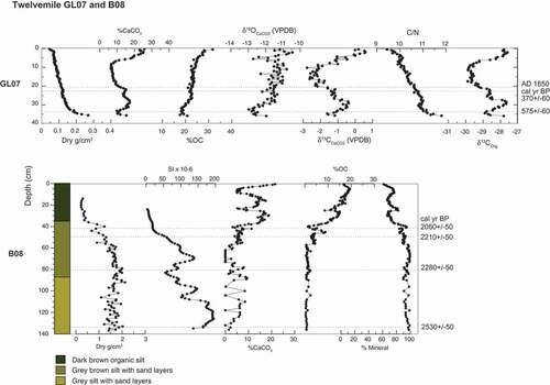 Figure 8. Core physical properties and geochemical properties including dry bulk density, magnetic susceptibility, weight percentages of calcium carbonate and organic carbon and mineral sediment, δ18OCaCO3 and δ13CCaCO3, C/N ratio, and organic carbon δ13COrg of bulk sediment are plotted with the 210Pb-horizon at AD 1850 and median calibrated radiocarbon ages from Twelvemile Lake