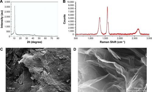 Figure 1 Characteristics of GONs. (A) XRD analysis. (B) Raman spectrum. (C) Representative field-emission scanning electron microscopic micrograph of GONs. (D) Representative transmission electron microscopic micrograph of GONs.Abbreviations: GONs, graphene oxide nanoplatelets; XRD, X-ray diffraction.