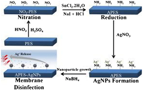 Scheme 2. Ag-NH2-PES membrane fabrication suggested by Haider et al. [Citation9].