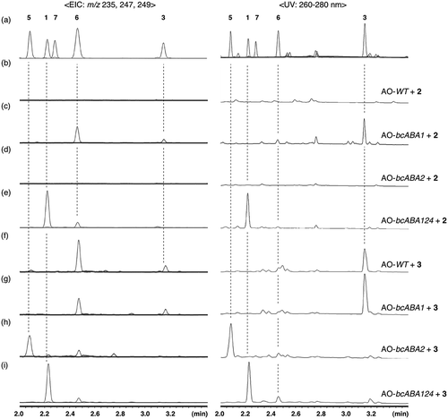 Figure 2. UPLC profiles. (a) authentic samples, and metabolites produced by (b) AO-WT with 2, (c) AO-bcABA1 with 2, (d) AO-bcABA2 with 2, (e) AO-bcABA124 with 2, (f) AO-WT with 3, (g) AO-bcABA1 with 3, (h) AO-bcABA2 with 3, and (i) AO-bcABA124 with 3.
