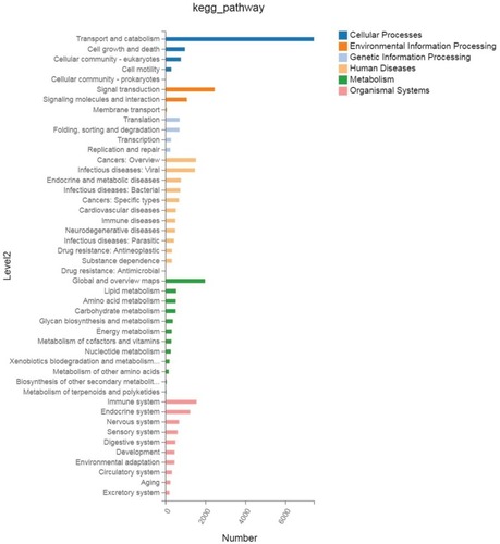 Figure 4 Kegg pathway-related expression patterns were analyzed and shown in AML patients.