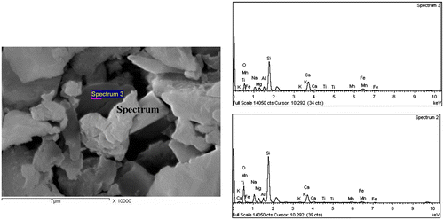 Figure 8. SEM of a sample sintered for 1 h with incorporation of 1% RH at 900 °C.