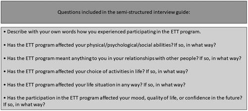 Figure 1. Questions from the semi-structured interview guide.