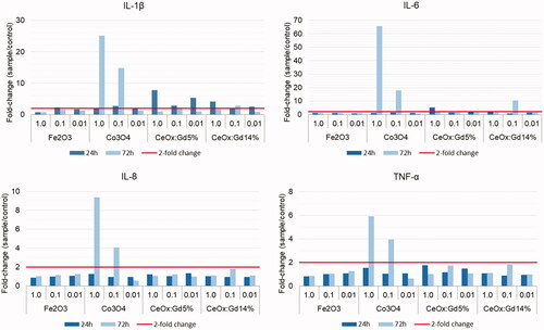 Figure 8. Fold change in proinflammatory cytokines. PBMCs isolated from whole blood were incubated 24 or 72 hours with four different protein-covered nanoparticles (Fe2O3, Co3O4, CeOx:Gd5%, and CeOx:Gd14%) at three different concentrations (1.0, 0.1, and 0.01 μg/mL). The supernatants were collected and cytokines measured using a multiplex bead-based assay. The graphs above illustrate the fold-change of IL-1β, IL-6, IL-8, and TNF-α with respect to controls. Intra assay coefficient of variation (CV) had a range of 0-19 % with a mean ± SD of 4 ± 2.7. A two-fold change (red line) or above was considered significant. Co3O4-exposure resulted in profound fold-changes for all four cytokines following 72-hour incubation.