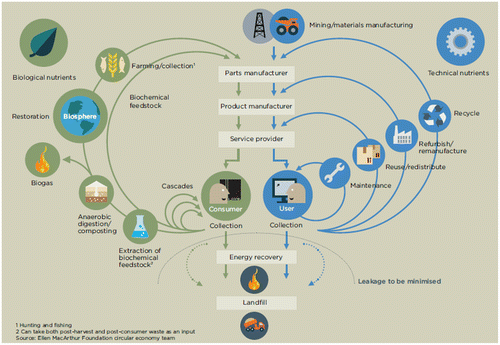 Figure 1. The EMF conceptualisation of a Circular Economy, showing two types of feedback loop: technical and biological (EMF (Ellen MacArthur Foundation) Citation2012), figure used with permission.