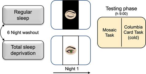 Figure 1 Experimental protocol of Experiment 1.Notes: Schematic representation of the experimental protocol of Experiment 1 that included regular sleep and total sleep deprivation conditions, presented in counterbalanced order and separated by one week. The Testing phase was scheduled the morning following the night of both conditions.