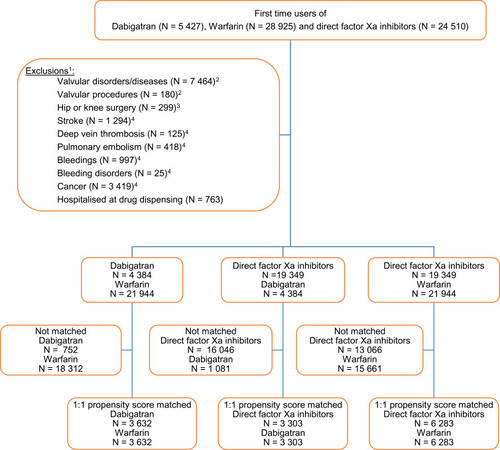 Figure 1 Flow chart of the study population. All patients were 60 years of age or older and with a diagnosis of atrial fibrillation within 6 months before start of treatment with dabigatran, direct factor Xa inhibitors or with warfarin.