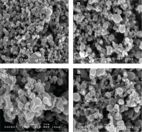 Figure 2 Scanning electron micrographs of valsartan–HPMC–surfactant composite nanoparticles prepared by using the SAS process.Notes: (A) Valsartan–HPMC; (B) valsartan–HPMC–poloxamer 407; (C) valsartan–HPMC–Ryoto sugar ester L1695; and (D) valsartan–HPMC–TPGS.Abbreviations: HPMC, hydroxypropyl methylcellulose; SAS, supercritical antisolvent; TPGS, D-α-Tocopheryl polyethylene glycol 1000 succinate.