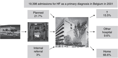 Figure 2.  Admissions for HF as a primary diagnosis in Belgium, 2001.