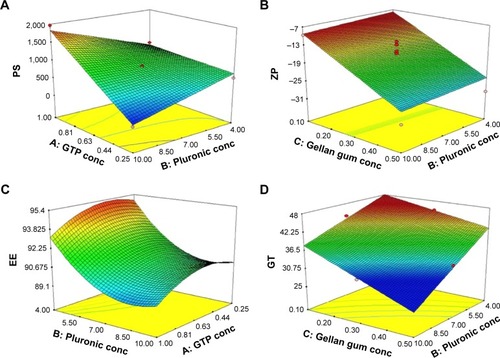 Figure 1 Response surface plots for the effects of the independent variables on the PS (A), ZP (B), EE (C) and GT (D) of the prepared nanostructured formulations.Abbreviations: conc, concentration; EE, entrapment efficiency; GT, gelation temperature; GTP, glyceryl tripalmitate; PS, particle size; ZP, zeta potential.