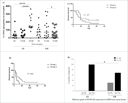 Figure 1. Neutrophil activity was enhanced in 12 patients and was unchanged or decreased in 16 patients over time (Group I;GI with enhanced neutrophil activity: T0 vs. T24W: p < 0.0001 and T12W vs. T24W: p < 0.0001, Group II; GII with unchanged or decreased neutrophil activity: T12W vs. T24W: p = 0.014, Fig. 1A). Kaplan–Meier survival curves of GBM patients and grade of HCMV infection in their tumors. (B and C) GBM patients with high neutrophil activity (GI) had significantly shorter TTP (A) and shorter median OS (B) than patients with unchanged or decreased neutrophil activity (GII). (D) Significantly more patients in GI had high-grade HCMV infection (Grades 3+, 4+) in their tumor compared with GII (p = 0.047).