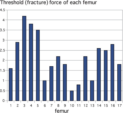 Figure 3. Threshold (fracture) force of each femur in kN.