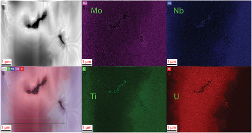 Fig. 9. TEM image and EDS map of the lamella from the MoNbTiU2 alloy. Similar to the MoNbTaU2 alloy, this confirms the general SEM observation of the two-phase system. This lamella was unable to capture the Ti florets observed in SEM. In this, the U transition is less pronounced than in the MoNbTaU2 alloy and has a more gradual transition. The line scan result is shown in Fig. 10. The dark regions are holes in the sample and are not an additional phase.