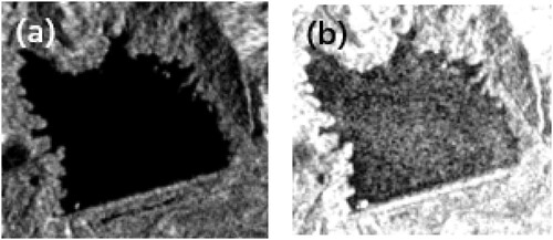 Figure 5. Microwave remote sensing features of Sokobaru Dam in Japan. (a) Sentinel-1 VH polarization image; (b) Sentinel-1VV polarization image.