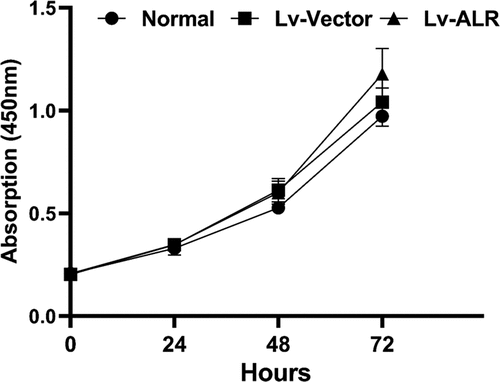 Figure 5. Effect of overexpression of 23-kD ALR on the proliferation of HK-2 cells by CCK-8 analyze. Corresponding absorption at 0, 24, 48, 72 h, in the normal group, negative control group and overexpression group was detected as cell density. Data represent the mean ± standard deviation of at least three independent experiments, *P < 0.05, **P < 0.01, ***P < 0.001.