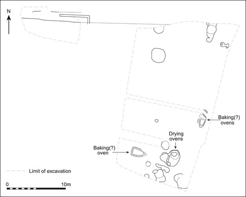 Figure 6. The location of the drying kiln at Peckham Street, Bury St Edmunds (Suffolk), twelfth to thirteenth century. Source: Redrawn by Kirsty Harding after David Gill, ‘40 Peckham Street, Bury St Edmunds' (Unpublished report, Suffolk County Council Archaeological Service, 2012).
