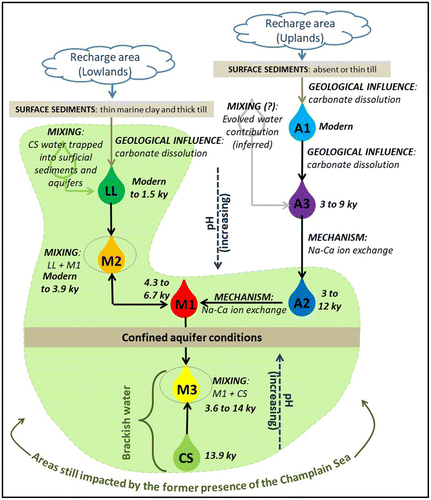 Figure 10. Conceptual model of groundwater geochemical evolution in Montérégie Est. Each of the eight water groups is represented with the direction of evolution (arrows) and the main mechanisms involved (mixing, geological influence, ion exchange) and the corrected radiocarbon age range (see Table 3).