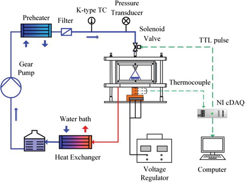 Figure 2. Schematic of the experimental system.