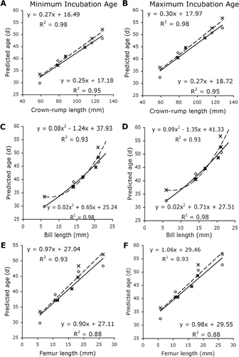 Figure 2 Regressions of selected measurements with predicted age based on ostrich and chicken models. Predictions for both the minimum (78 days) and maximum (85 days) kiwi incubation period are presented. Equations and R2 values above the line correspond to the ostrich regression (×, —) and those below correspond to the chicken regression (o, —). A, B, Crown–rump length. C, D, Bill length. E, F, Femur length.