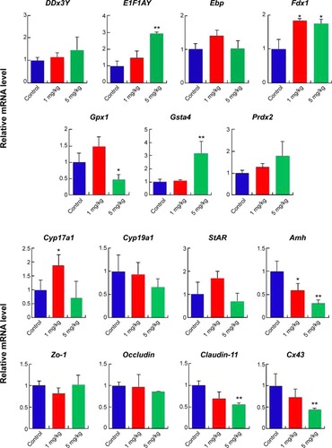 Figure 8 mRNA expression levels of specific genes at postnatal day 28.Notes: The results are presented as mean ± SD. *Indicates significance at P<0.05; **indicates significance at P<0.01.Abbreviation: SD, standard deviation.