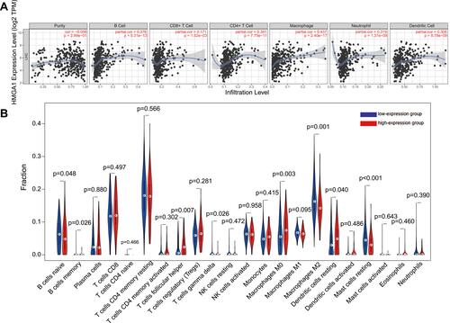 Figure 6 The relationship between HMGA1 and immune invasion in hepatocellular carcinoma. (A) Relationship between the abundance of immune cells and HMGA1 expression in HCC (TIMER). (B) Different proportions of sorts of immune cells in high- and low-HMGA1 groups in HCC specimens (CIBERSORT).