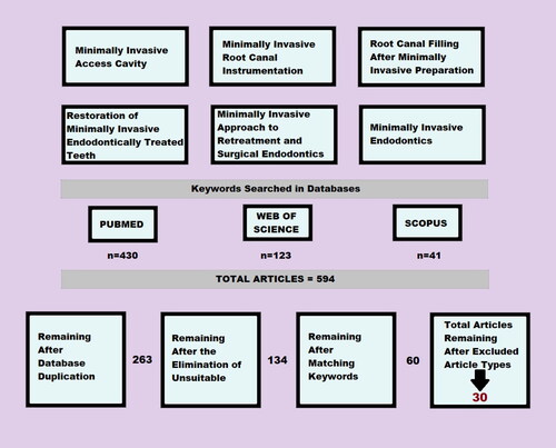 Figure 1. Database research and screening flow chart.