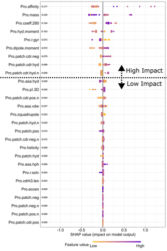 Figure 3. SHAP plot of the XGBoost model. It is a visual representation of how different molecular property values (also customarily called feature values in a SHAP plot) affect ka prediction. Each row of the plot corresponds to a molecular property and is dotted with 310 points (corresponding to 310 runs obtained from 31 mAbs each run 10 times). The range of values for a given molecular property is color coded from purple (relatively high value for a given molecular property) to yellow (relatively low value for a given molecular property). The position of a colored point relative to the centerline shows the impact of a value. If a point lies to the right of the centerline (and thus with a positive SHAP value), it makes the model predict a higher ka relative to an initial guess (starting at the ka average across the 31 mAbs), and vice versa. For example, if yellow points cluster far away to the right of the center line, the interpretation will be that lower values of a given molecular property is likely related to a higher ka. The magnitude of the SHAP values averaged across all data points for each molecular property is listed by the y-axis. Properties with an averaged SHAP value below or equal to 0.05 (unitless as ka is normalized during data preprocessing) are considered unimportant, which, if converted back, is equivalent to the inability to change more than 0.0002 h−1 from an initial guess. Considering that the ka average across the 31 mAbs is two orders of magnitude larger and the smallest ka is still one order of magnitude larger than 0.0002 h−1, we consider it reasonable to exclude any molecular properties with below or equal to a SHAP value of 0.05 as unimportant.