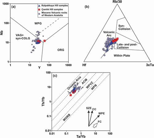 Figure 10. Tectonic discrimination diagrams of a) Nb versus Y (Pearce et al., Citation1984), b) Rb/30-Hf-3xTa (Harris et al., Citation1986), and Th/Yb versus Ta/Yb (Schandl and Gorton Citation2002). Abbreviations: MORB: mid-ocean ridge basalts; VAG: volcanic arc granites; ORG: ocean ridge granites; WPG: within plate granites; syn-COLG: syn-collisional granites, WPE, within-plate enrichment, WPVZ: within plate volcanic zone, ACM: Active Continental margin, SZE, subduction zone enrichment; CC, crustal contamination; FC, fractional crystallisation; UC, average upper crust