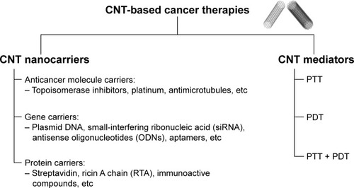 Figure 1 CNT-based cancer therapies.Abbreviations: CNTs, carbon nanotubes; ODNs, oligonucleotides; PDT, photodynamic therapy; PTT, photothermal therapy; RTA, ricin A chain; siRNA, small-interfering ribonucleic acid.