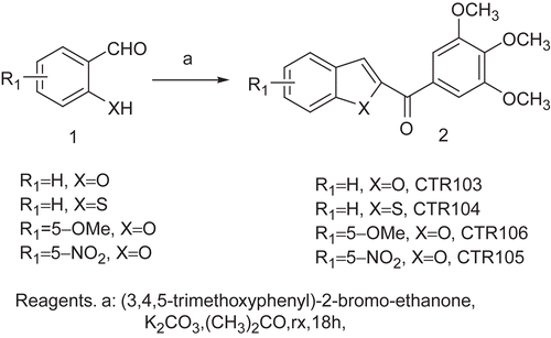 Scheme 2.  Synthesis of CTR103–CTR106.