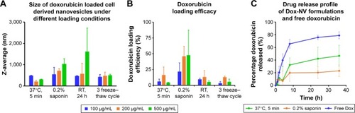 Figure 3 Comparison of cell-derived nanovesicles (A) size aggregation with (B) doxorubicin loading efficiency among different loading conditions and doxorubicin concentrations. (C) Investigation of doxorubicin release profile of two formulations at 37°C for 36 h in phosphate-buffered saline.Abbreviations: NV, nanovesicles; RT, room temperature.