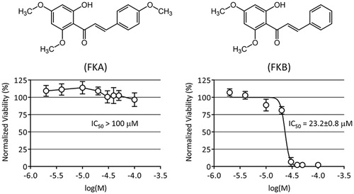 Figure 1. Cellular viability following treatment with flavokawains. HepG2 were treated with 2–100 μM FKA or FKB, or with vehicle control (0.1% DMSO) for 48 h. Viability was measured by calcein-AM fluorescence assay, normalising data to vehicle control (100%). IC50 values were determined by nonlinear regression as described in the “Materials and methods” section. Chemical structures of FKA and FKB are shown for reference.